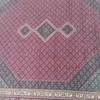 فرش|فرش|مهاباد (آذربایجان غربی), |دیوار