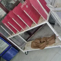 دکور میوه فروشی