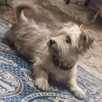 به علت نداشتن مکان