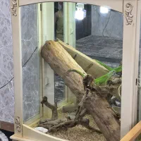 تراریوم خزنده با لامپ مخصوص