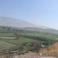 زمین برنجکاری|فروش دفتر صنعتی، کشاورزی، تجاری|دوگنبدان, |دیوار