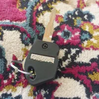 دسته کلید گم کردم