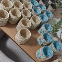 جا بورسی