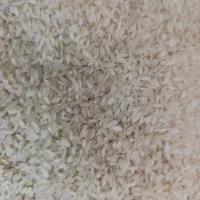 دو تن شلتوک فروشی