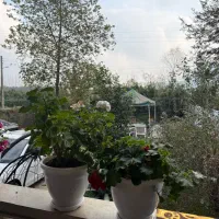 نیروی خانم نظافت منزل