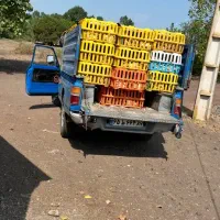 تخم بوقلمون نطفه دار با ضمانت نامه کتبی ۸۰ درصدی|حیوانات مزرعه|لنگرود, |دیوار