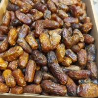 خرما|حراج|تهران, کرمان|دیوار