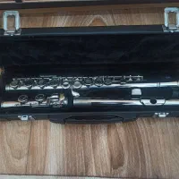 فلوت برنز روکش استیل|سازهای بادی|سنندج, |دیوار