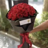 20شاخه رزفقط390