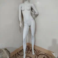 مانکن زنانه