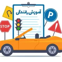 حرفه ای رانندگی کن
