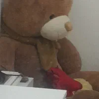 خرس بزرگ ۲ متری