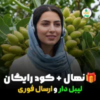 فرصت طلایی خرید نهال پسته با ۱۰۰ نهال هدیه رایگان