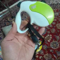 قلاده سگ نوسالم فوری فروشی