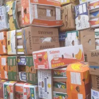 حدود۱۲۰۰ عدد کارتن موز بزرگ ومتوسط سالم زیر ورو