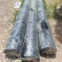 پلیمر استخری