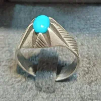 انشگتر فیروزه اصل