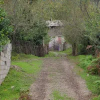 200 متر زمین مسکونی کوهپایه الیان|فروش زمین و ملک کلنگی|ماکلوان, |دیوار