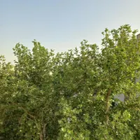 ۸۰متر ۲خواب (شیان) لویزان ازگل حسین آباد