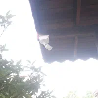 انواع دوربین مداربسته و دزدگیر|دوربین مداربسته|خمام, |دیوار