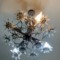 فروش لوستر کریستالی طرح گل|لوستر و چراغ آویز|رشت, دیلمان|دیوار