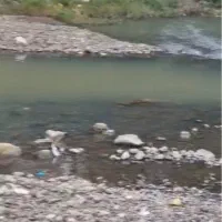 زمین با مجوز استخر ماهی پول نیاز