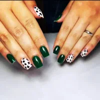 کاشت اقتصادی وآموزش