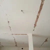 نقاشی ساختمان رنگکاری ساختمان درجه ۱|خدمات پیشه و مهارت|قم, چهل درخت‎|دیوار