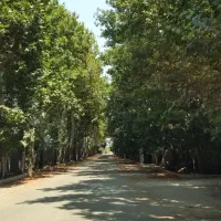 فروش-زمین-شهرکی-مناسب-ساخت-درکردان-سرخاب-حاجی-آباد