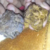 سنگ قیمتی  پیداشده درکوه