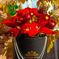 جعبه باکس گل های پیت پاکنی برای یلدا