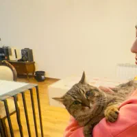 واگزاری گربه