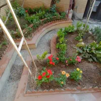 خدمات باغبانی تعویض خاک گلدون گل کاری صفرتاصد