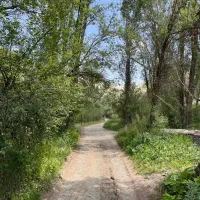 باغ میوه ۴۹۵ متر|فروش زمین و ملک کلنگی|بلده, |دیوار