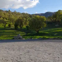 سرویس حمل ونقل درون شهری