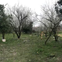 ۴۰۵ متر سند دار با جواز