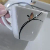 سرویس چینی ۱۸نفره درحدنو