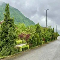 شهرک ساحلی در نشتارود سنگ فرش شده کاملا مسکونی|فروش زمین و ملک کلنگی|نشتارود, |دیوار