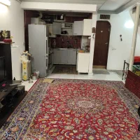 همخانه همخونه هم خانه|اجارهٔ آپارتمان|مشهد, فرهنگیان (شهرک غرب)|دیوار