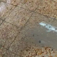 کفسابی.ساب زنی.سنگ سابی.نماشویی.کف سابی|خدمات نظافت|قم, نیروگاه|دیوار