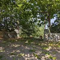 باغ-گیلاس