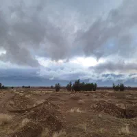 دو قواره زمین کشاورزی  مناسب سرمایه گذاری و باغ