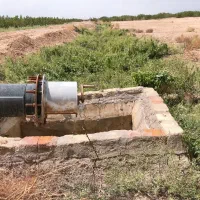 ۸۰۰۰مترباغ پسته|فروش دفتر صنعتی، کشاورزی، تجاری|قم, یزدان‌شهر|دیوار