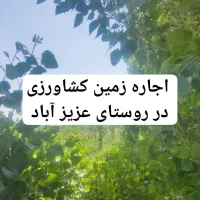 اجاره زمین کشاورزی