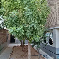 فروش ۳ خواب ۱۴۰ متری