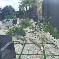 خدمات باغبانی وعلف تراشی زمین|خدمات باغبانی و درختکاری|رشت, گیل|دیوار