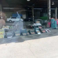 اجاره غرفه در میدان تره‌بار مرکزی 6 دانگ تخلیه|اجارهٔ مغازه و غرفه|تهران, میدان میوه و تره‌بار مرکزی|دیوار