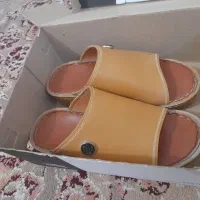 دمپا عرب نو