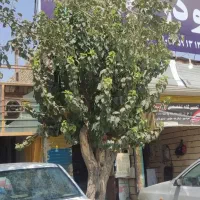 مغازه خدمات خودرویی|اجارهٔ مغازه و غرفه|مشهد, شهید قربانی|دیوار