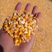 خوراک دام و طیور